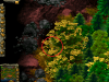 lol_t1.png